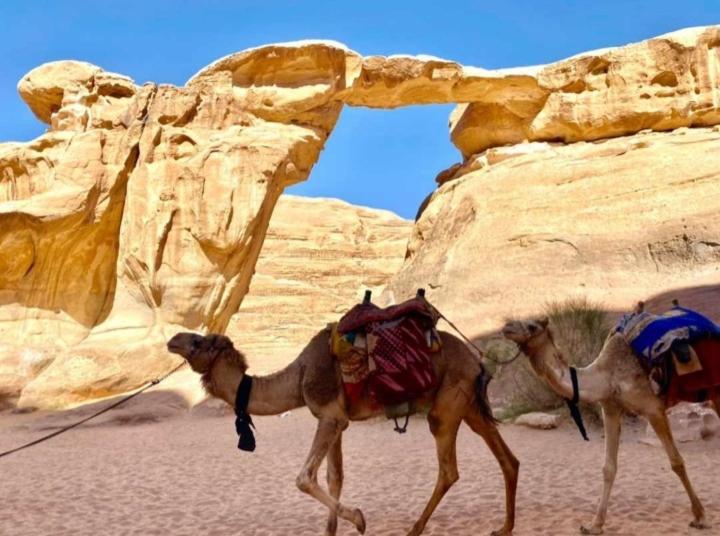 Desert Star Camp وادي رم المظهر الخارجي الصورة