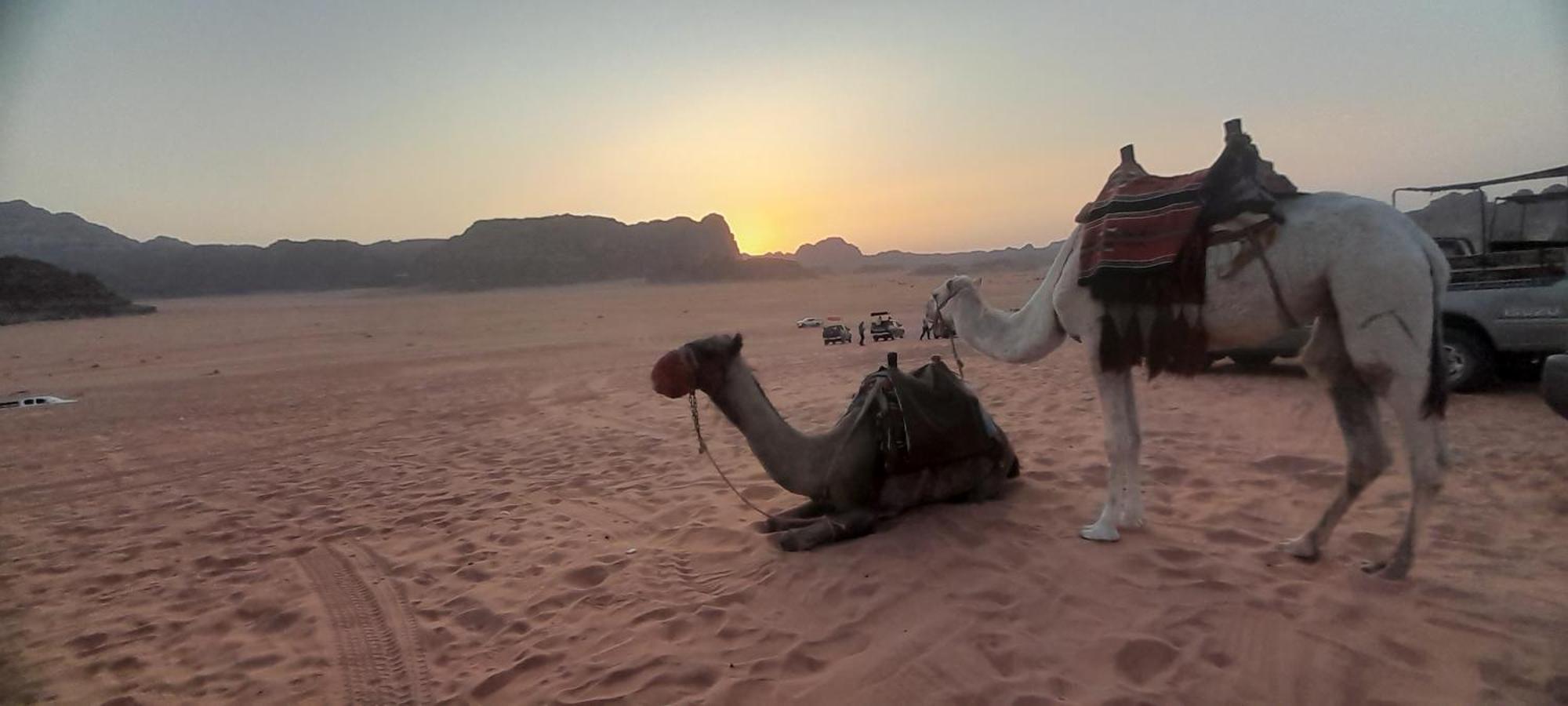 Desert Star Camp وادي رم المظهر الخارجي الصورة